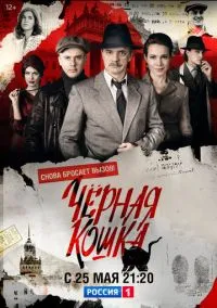 Черная кошка (сериал, 2016) смотреть онлайн